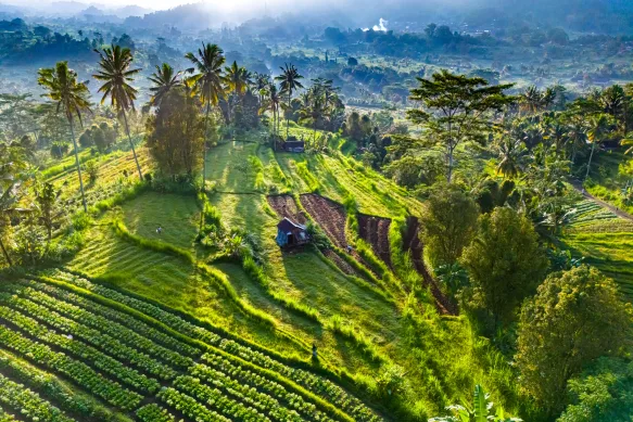 Lingkungan alami Bali mendukung efektivitas Hipnoterapi di Bali untuk pemulihan mental